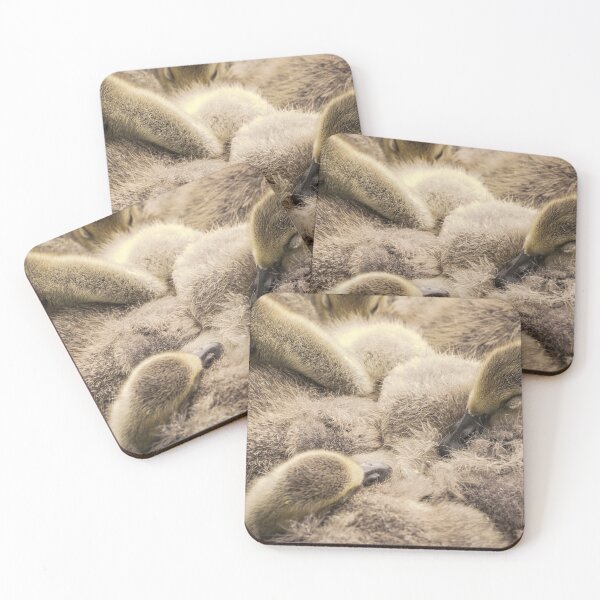 Item preview, Snuggling gosling family designed and sold by AYatesPhoto.