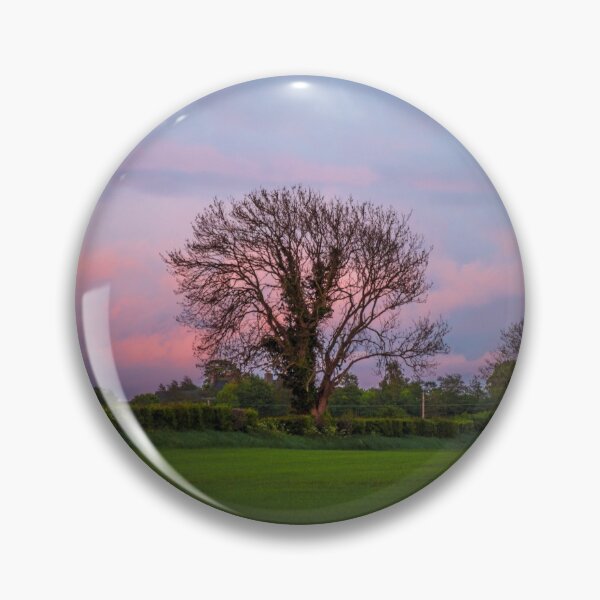 Item preview, Sunset Forest designed and sold by dancoxonphotos.