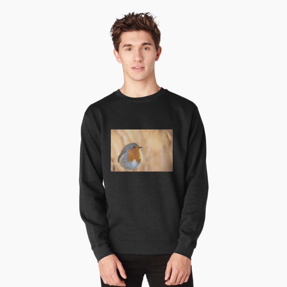 Item preview, Pullover Sweatshirt designed and sold by AYatesPhoto.