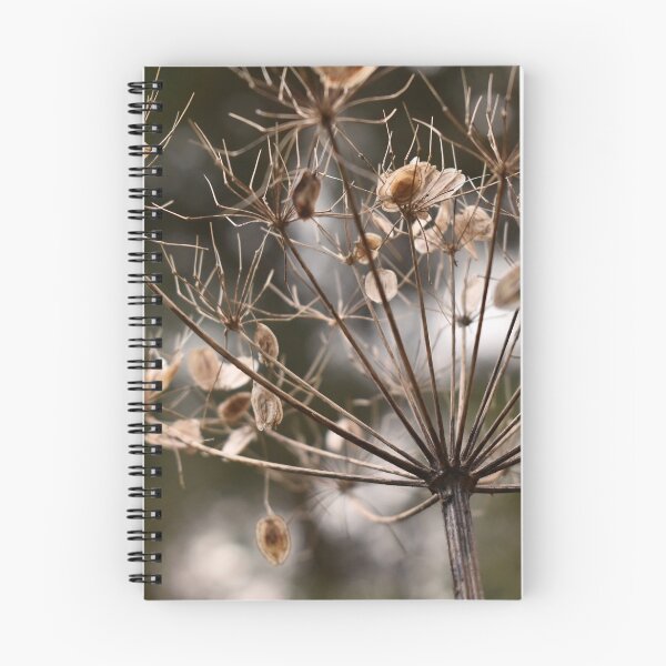 Item preview, Winter Hogweed Skeleton in Scotland designed and sold by Miller Cornelius.