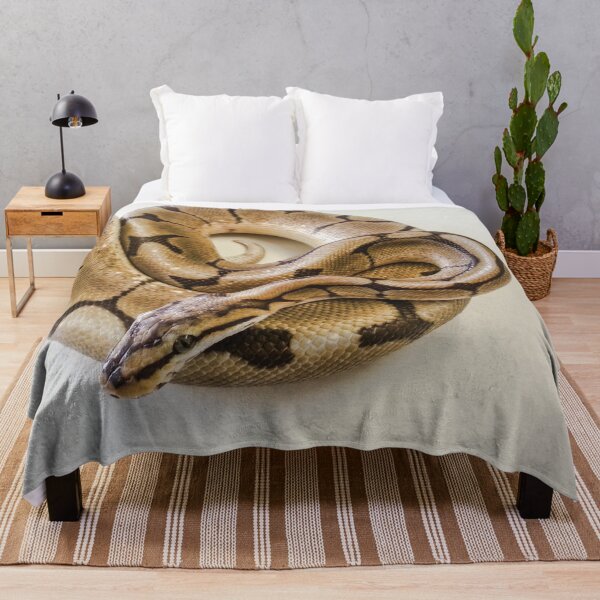 Item preview, Ball Python photograph designed and sold by Mike Colwill.
