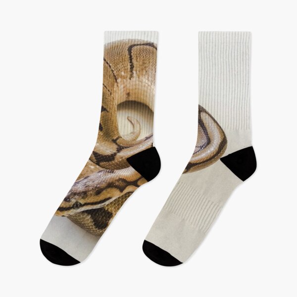 Item preview, Ball Python photograph designed and sold by Mike Colwill.
