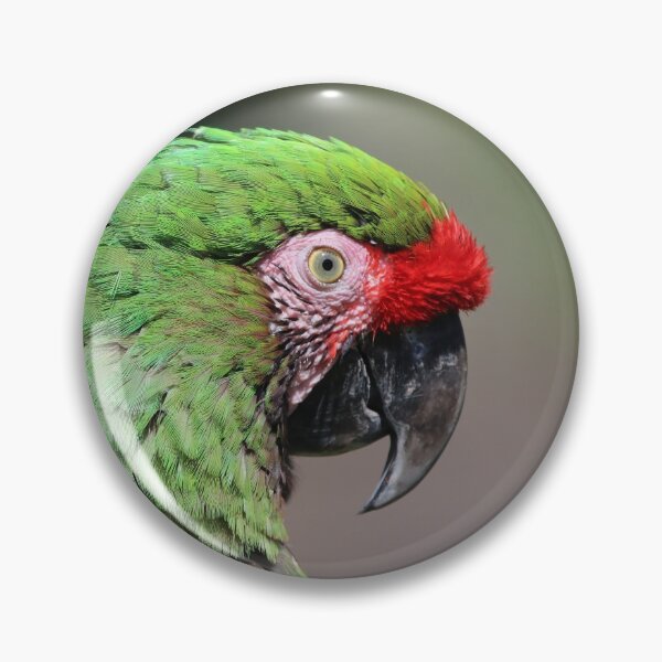Item preview, Parrot portrait designed and sold by Melissa Peltenburg.