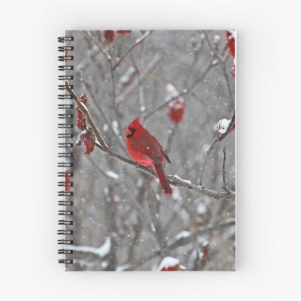 Item preview, Cardinal in Snow designed and sold by mahindle.