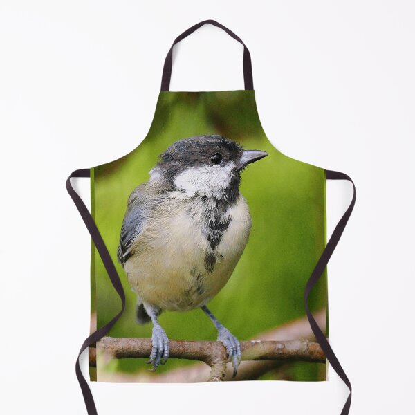 Item preview, r1480/New Finition - 2021 - mésange b 29 (c)(t) Olavia-Olao Okaio Créations designed and sold by o.okaïo.