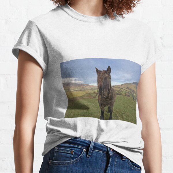 Taking Centre Stage (Low Rigg) Classic T-Shirt
