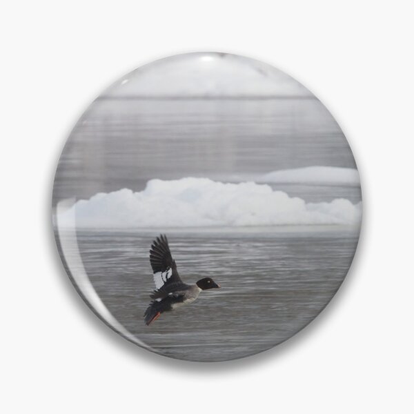 Item preview, To land or not. So cold down there. Common goldeneye designed and sold by Jouko Lehto Photography.