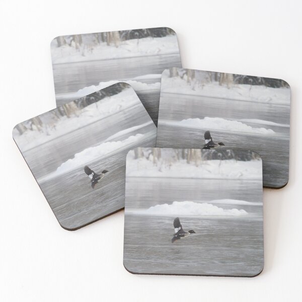 Item preview, To land or not. So cold down there. Common goldeneye designed and sold by Jouko Lehto Photography.