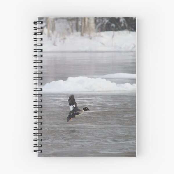 Item preview, To land or not. So cold down there. Common goldeneye designed and sold by Jouko Lehto Photography.