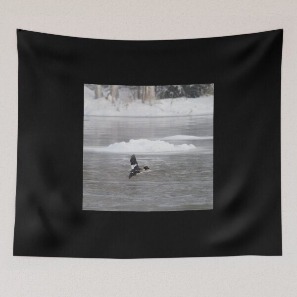 Item preview, To land or not. So cold down there. Common goldeneye designed and sold by Jouko Lehto Photography.
