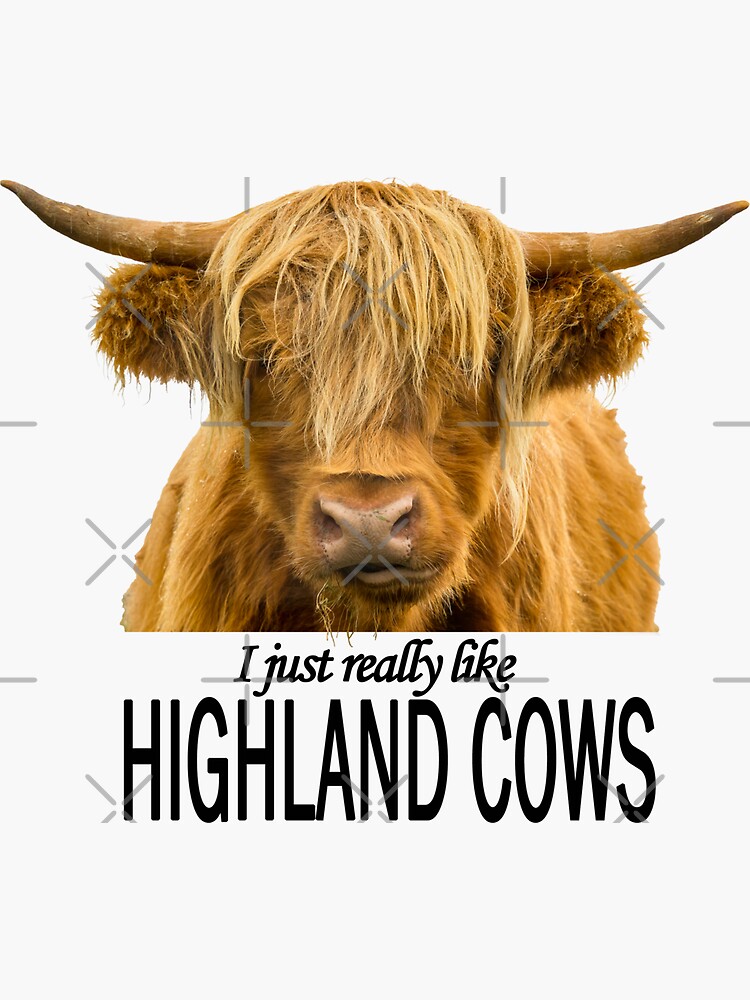 Cheeky Moo, Highland Cow Apron for Sale by Jane Stanley