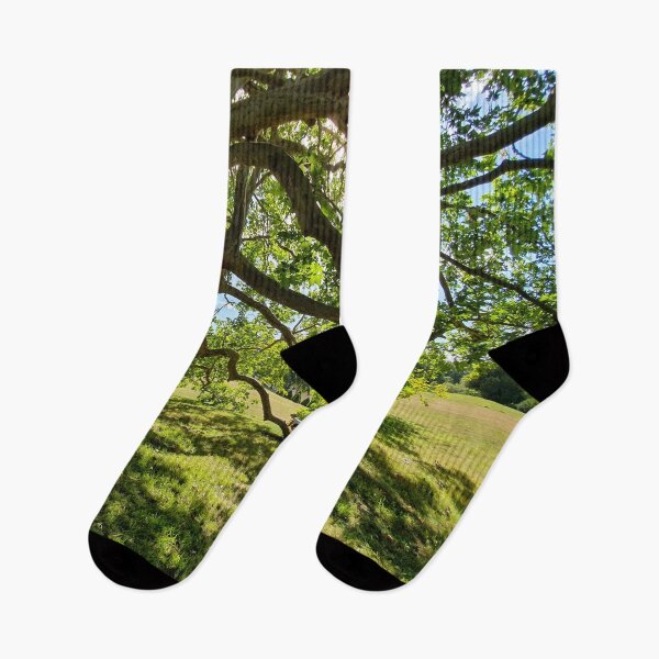 Item preview, Be like a tree: stay grounded, keep growing, and know when to let go designed and sold by Cheerocki.