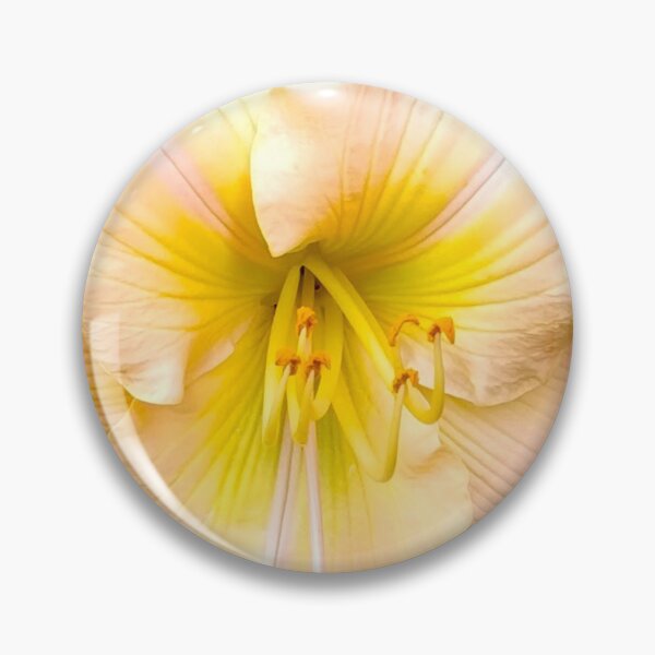 Item preview, Light Peach Daylily, Lily, Lilies designed and sold by PrettyLittlePic.