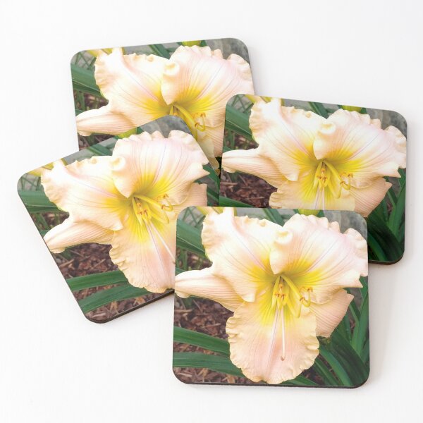 Item preview, Light Peach Daylily, Lily, Lilies designed and sold by PrettyLittlePic.