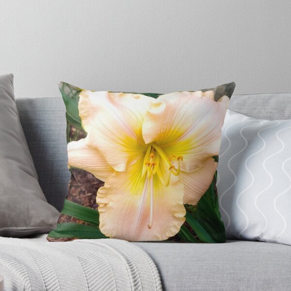 Item preview, Light Peach Daylily, Lily, Lilies designed and sold by PrettyLittlePic.