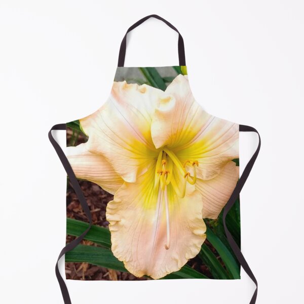 Item preview, Light Peach Daylily, Lily, Lilies designed and sold by PrettyLittlePic.