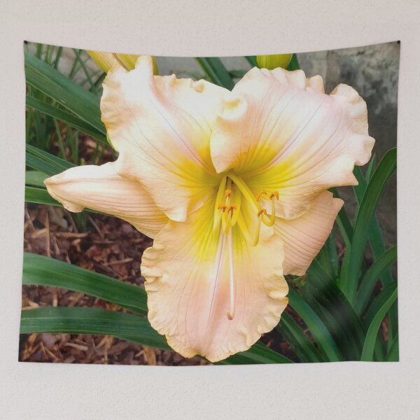 Item preview, Light Peach Daylily, Lily, Lilies designed and sold by PrettyLittlePic.