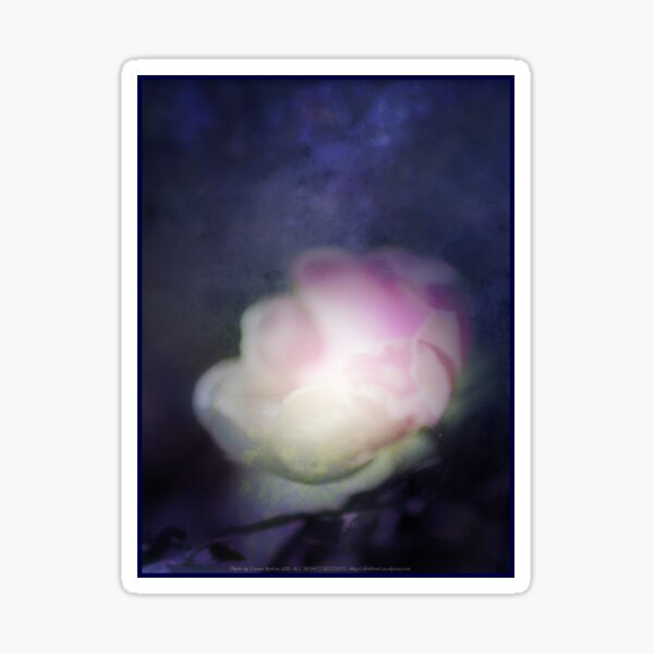 delicate pink old fashioned rose pattern 2 Sticker