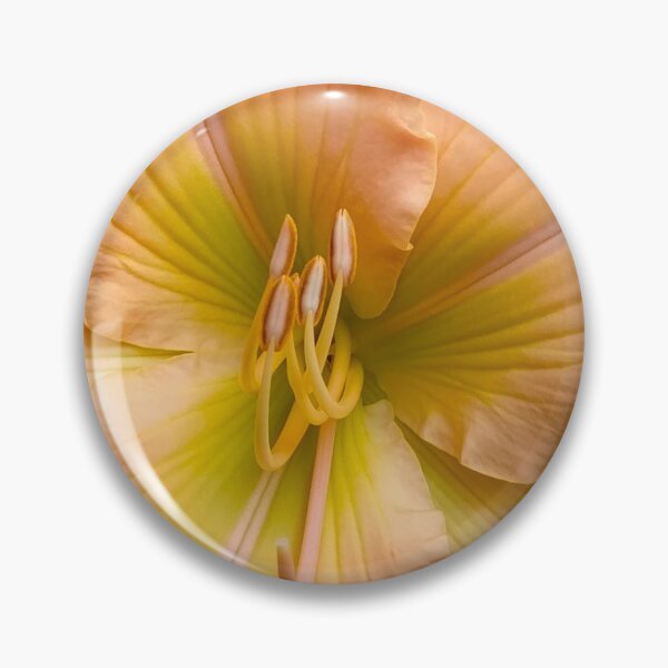 Item preview, Dark Light Peach Daylily, Lily, Lilies designed and sold by PrettyLittlePic.