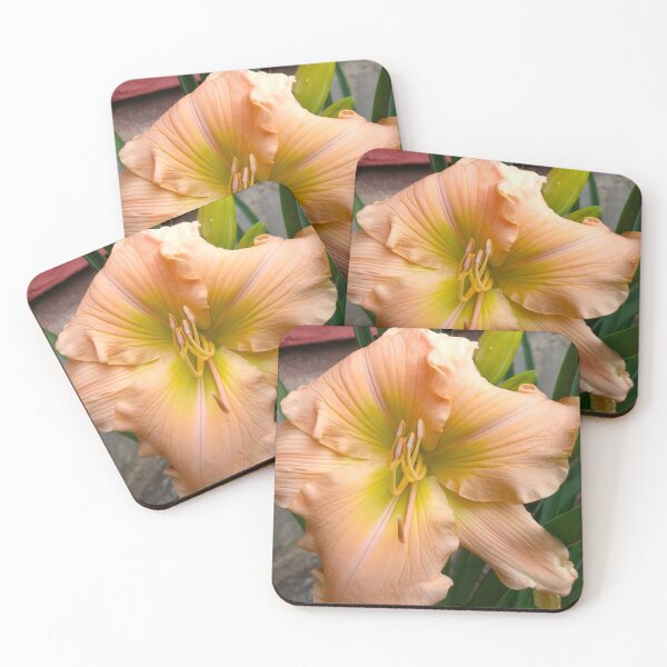 Item preview, Dark Light Peach Daylily, Lily, Lilies designed and sold by PrettyLittlePic.