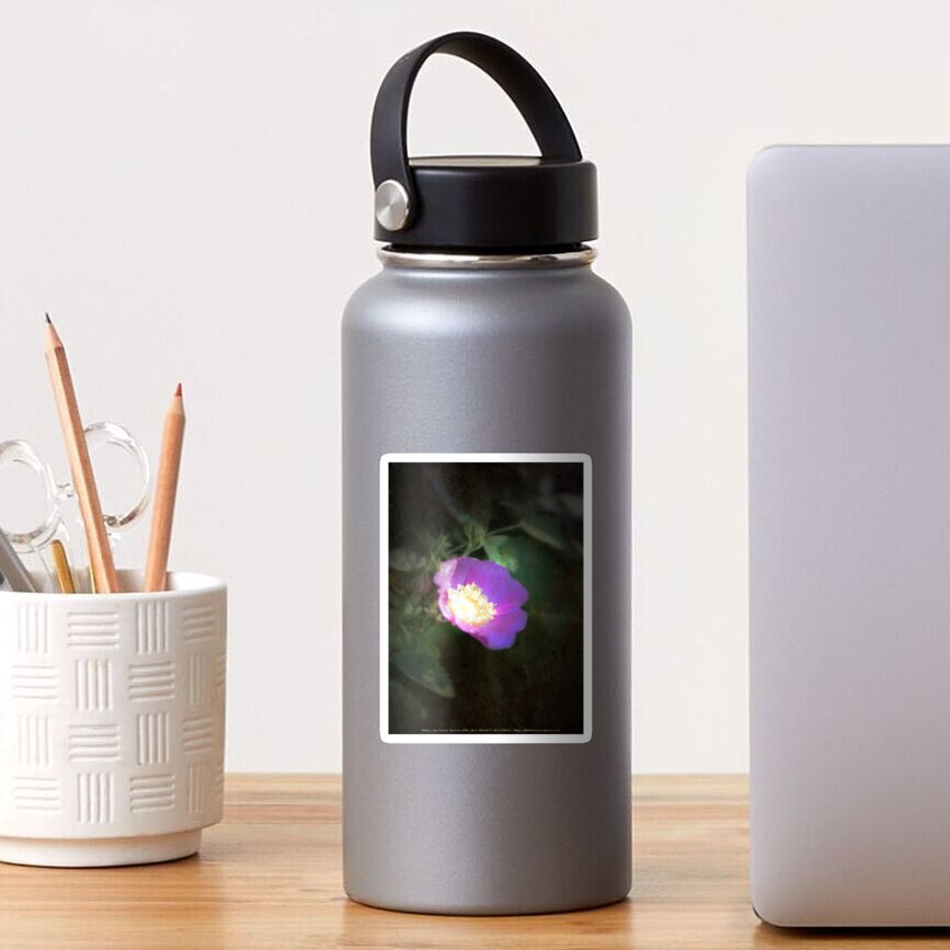 glowing old fashioned rose elegance Sticker