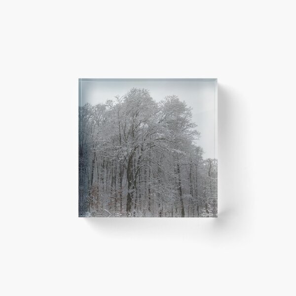 Item preview, Snow Covered Trees on a Cold Winter Day Landscape  designed and sold by PrettyLittlePic.