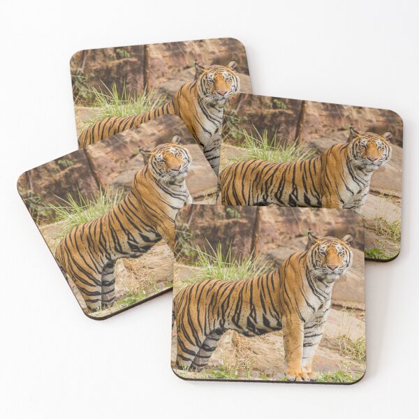 Item preview, Fierce Tiger designed and sold by newburyboutique.