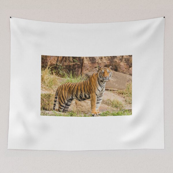 Item preview, Fierce Tiger designed and sold by newburyboutique.