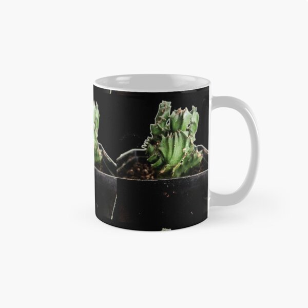 Item preview, Cactus designed and sold by Ian Wylie.
