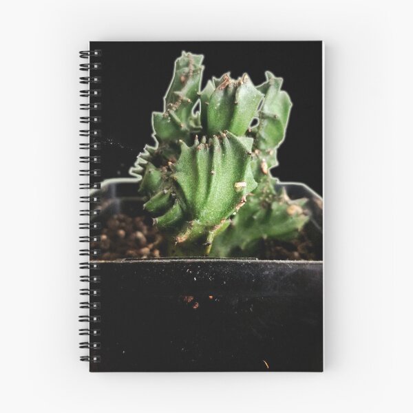 Item preview, Cactus designed and sold by Ian Wylie.