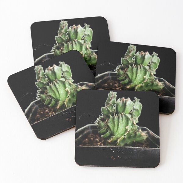 Item preview, Cactus designed and sold by Ian Wylie.