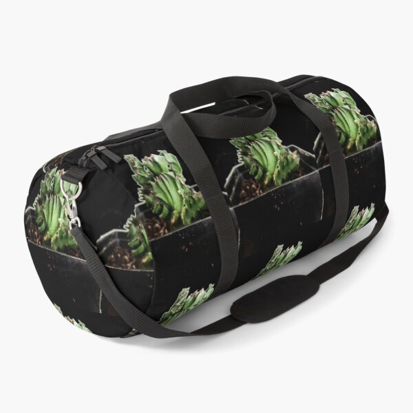 Item preview, Cactus designed and sold by Ian Wylie.