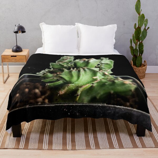 Item preview, Cactus designed and sold by Ian Wylie.