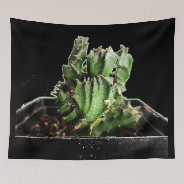 Item preview, Cactus designed and sold by Ian Wylie.