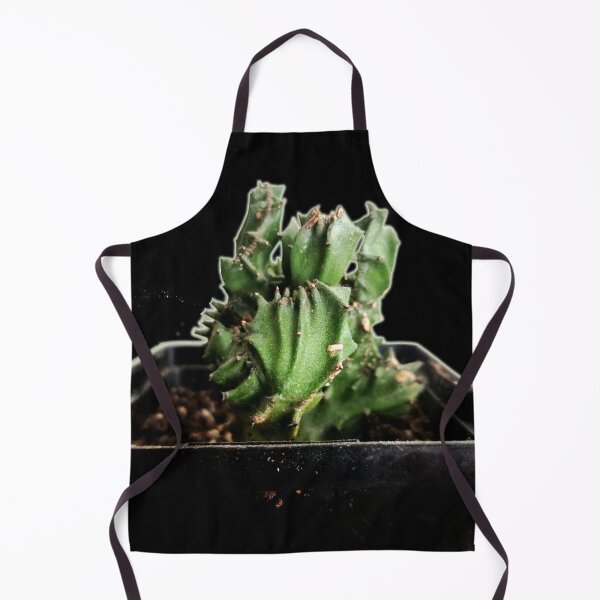Item preview, Cactus designed and sold by Ian Wylie.