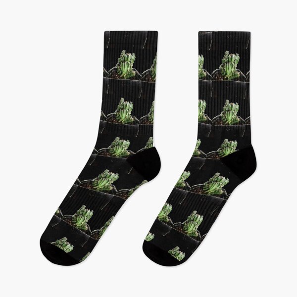 Item preview, Cactus designed and sold by Ian Wylie.