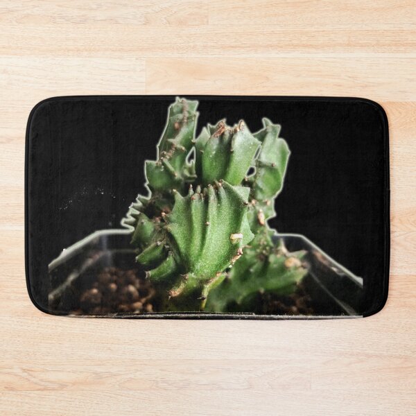 Item preview, Cactus designed and sold by Ian Wylie.