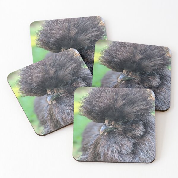 Item preview, Black Silkie Chicken, Cute Silkie Close Up designed and sold by PrettyLittlePic.