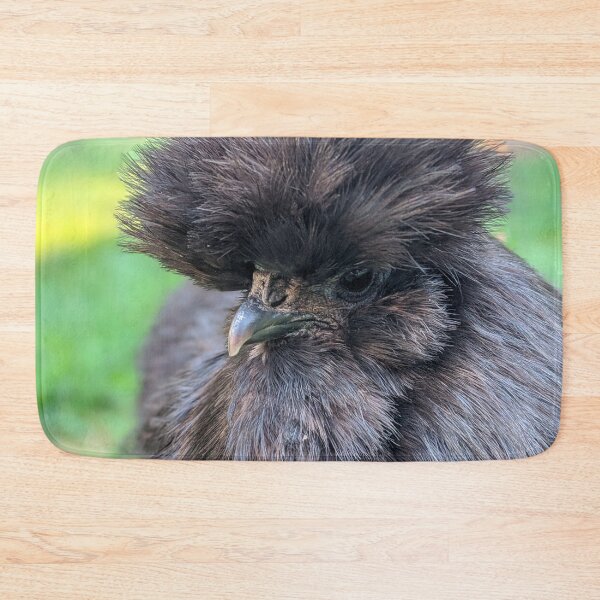 Item preview, Black Silkie Chicken, Cute Silkie Close Up designed and sold by PrettyLittlePic.