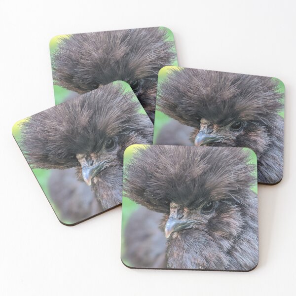 Item preview, Adorable Silkie Chicken, Cute Black Silkies Close Up designed and sold by PrettyLittlePic.