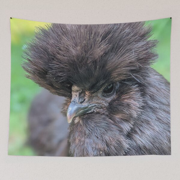 Item preview, Adorable Silkie Chicken, Cute Black Silkies Close Up designed and sold by PrettyLittlePic.