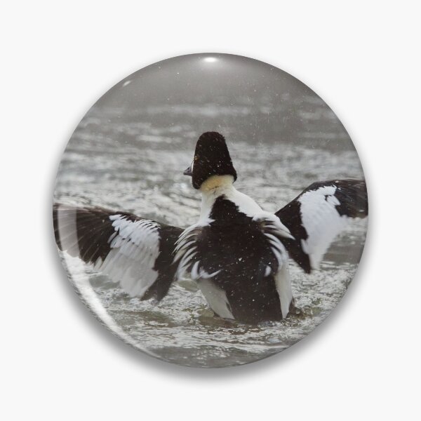 Item preview, Splashes to splashes. Common goldeneye designed and sold by Jouko Lehto Photography.