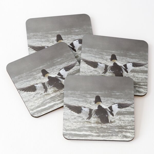 Item preview, Splashes to splashes. Common goldeneye designed and sold by Jouko Lehto Photography.