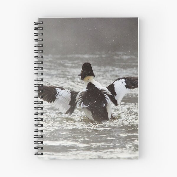 Item preview, Splashes to splashes. Common goldeneye designed and sold by Jouko Lehto Photography.