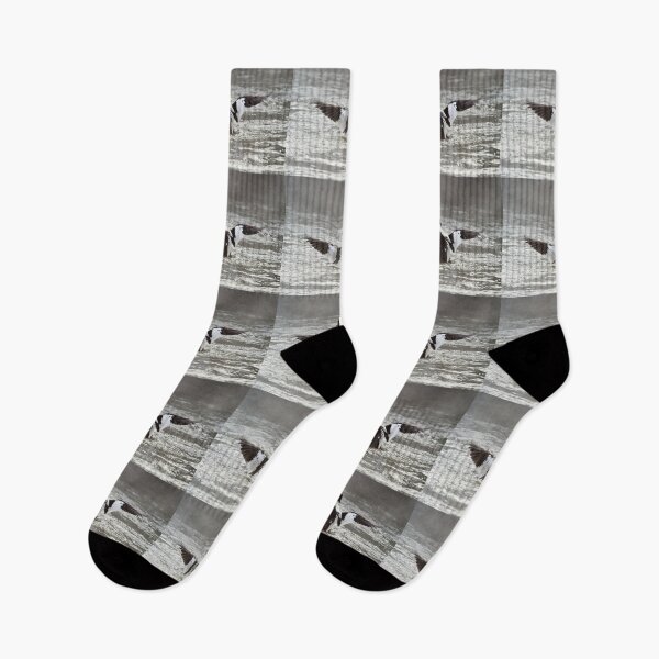 Item preview, Splashes to splashes. Common goldeneye designed and sold by Jouko Lehto Photography.