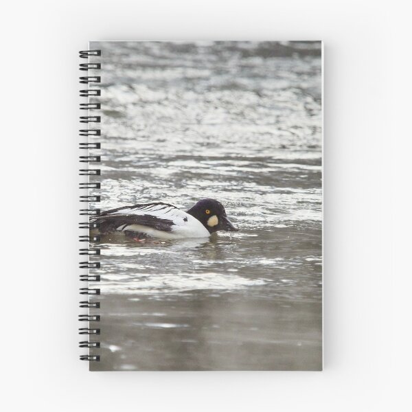 Item preview, Somehow I get negative vibes. Common goldeneye designed and sold by Jouko Lehto Photography.