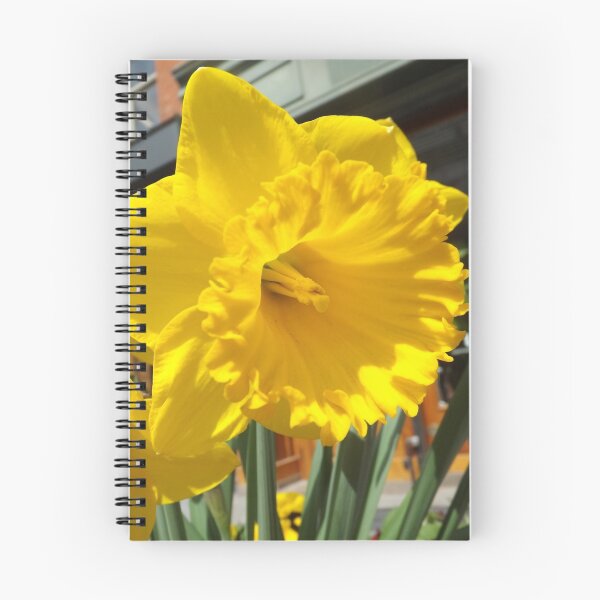 Item preview, Colorful Spring Flowers, Newark Avenue, Jersey City, New Jersey designed and sold by lenspiro.