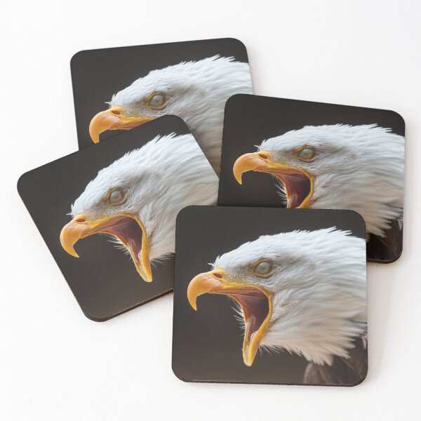 Item preview, Bald Eagle  designed and sold by Steve Liptrot Photography.