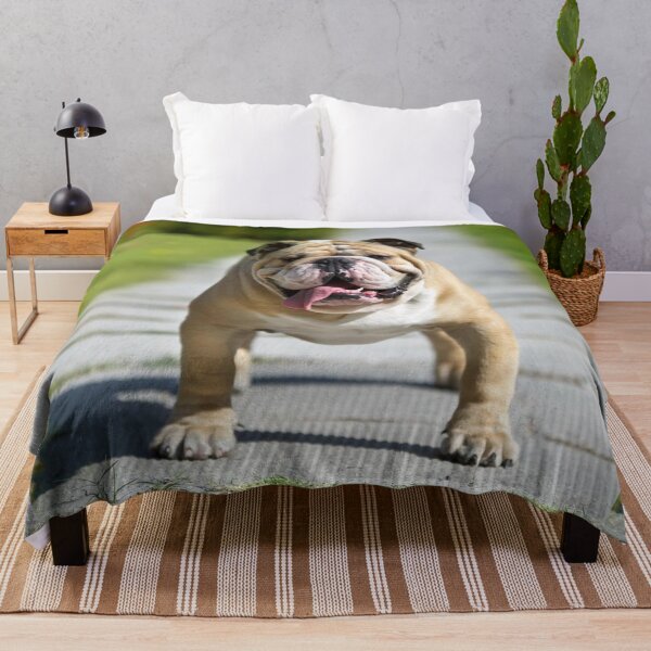 Item preview, English Bulldog pet photo dog dogs pets designed and sold by Coolstuff4you71.