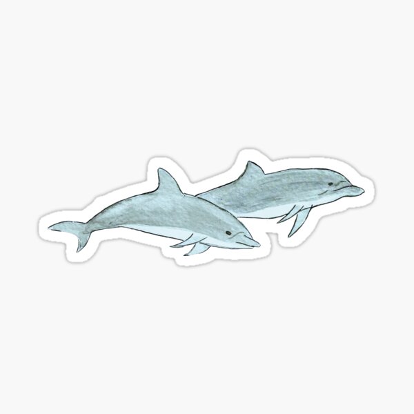 10x15cm Dolphins  Stickers 4x6'' 